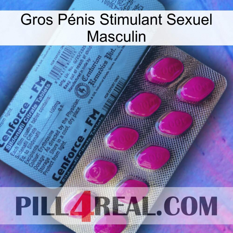 Gros Pénis Stimulant Sexuel Masculin 35